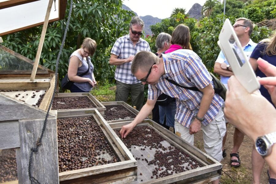 Gran Canaria: Grand Island Tour by Bus with Transfers - Why This Tour Works Well for Travelers