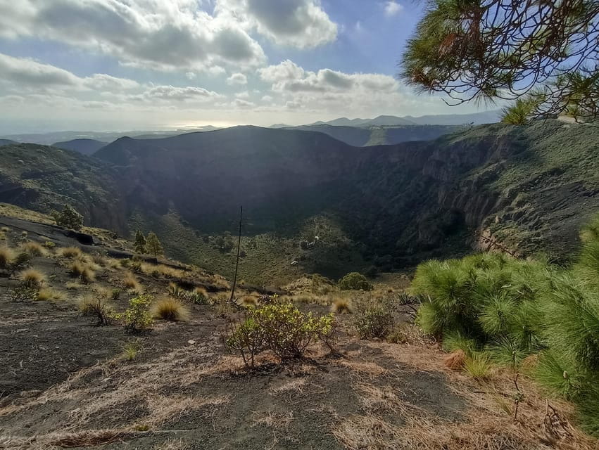 Gran Canaria: Highlights Wine Tasting Tour & shore excursion - The Practical Side: Logistics and Value