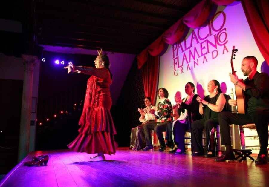 Granada: 1-Hour Traditional Flamenco Show at Palacio - The Experience: A One-Hour Dive into Flamenco Passion