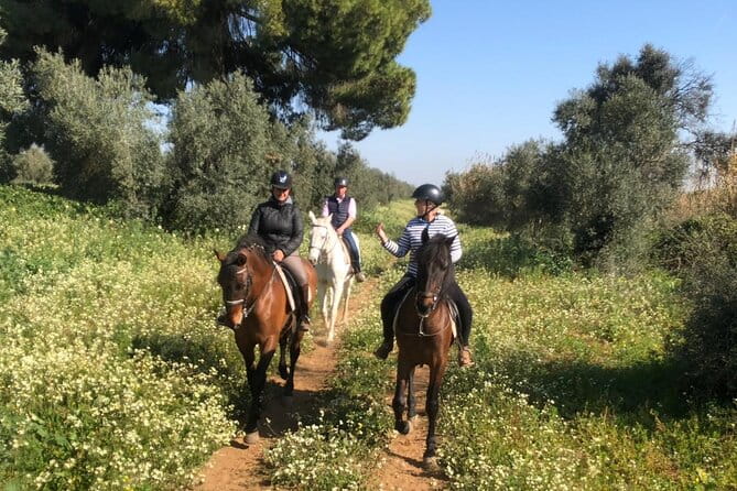 Granada & Sierra Nevada Horse Riding Tour - Authenticity & Overall Value