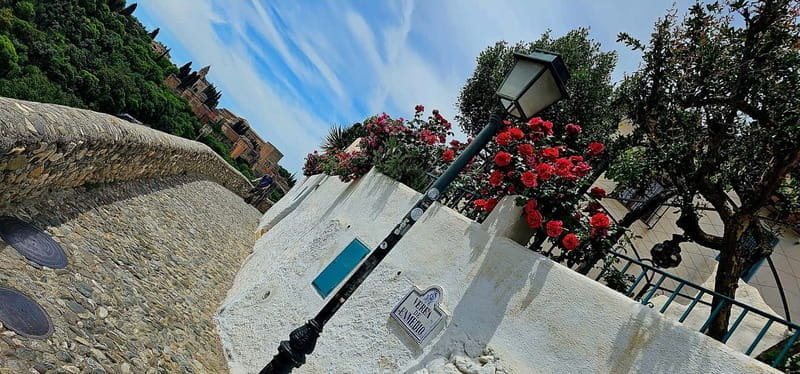 Granada: "Street Art & The Caves" Unique Guided Walking Tour - The Practicalities: What You Need to Know