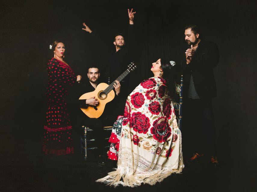 Granada: Traditional Flamenco Show at Tablao Casa Ana - A Few Tips