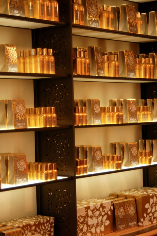 Grasse, Valbonne & Gourdon: Day Tour with Wine Tasting - The Sum Up