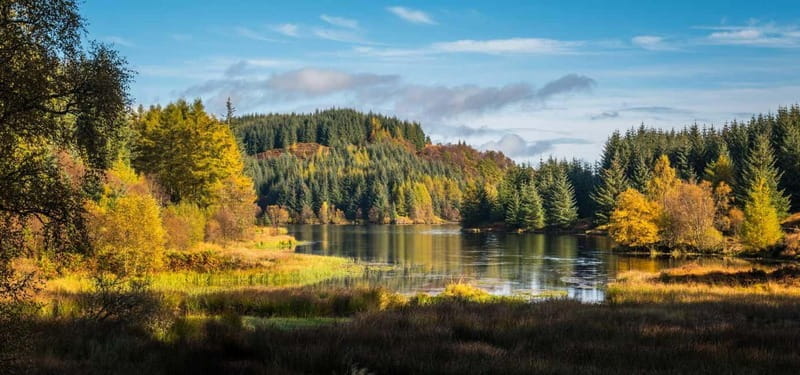 Greenock: Loch Lomond, Trossachs & Stirling Castle Tour - The Logistics and Practical Tips