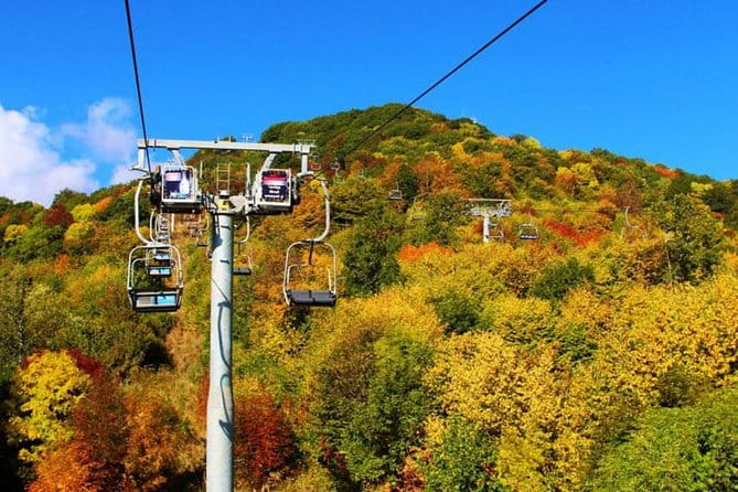 Group Tour: Garni Temple, Geghard Monastery and Lake Sevan - Lake Sevan: A High-Altitude Gem