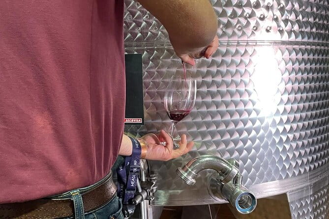 Guided Cellar Tour and wine tasting - Tasting with a View: The Best Part