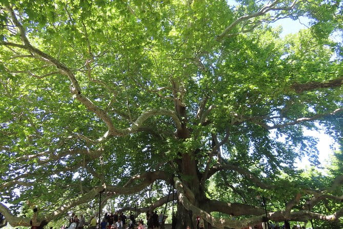 Guided Green Bursa Tour with Cable Car From Istanbul to Uludag - The Details That Make a Difference