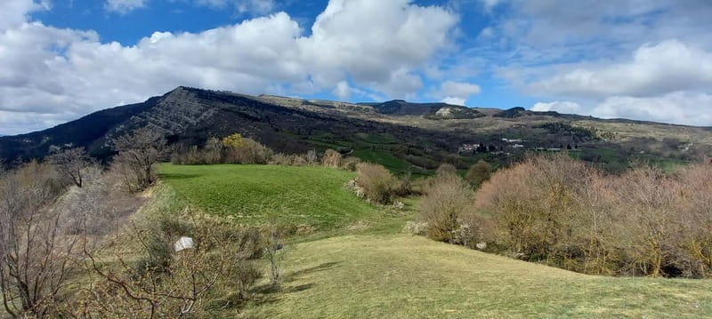 Guided hike on Mount Carpegna - Discovering Mount Carpegna: An In-Depth Review