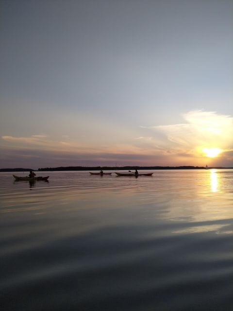 Guided kayaking on Roskilde Fjord: Sunset tour - Embracing the Beauty of Roskilde Fjord at Dusk