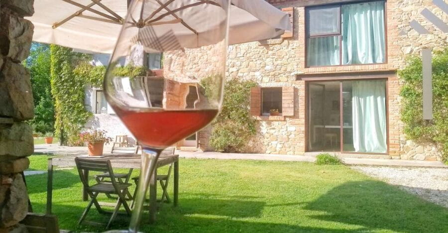 Guided Olive Oil & Wine Tour From Padua - Who Should Consider This Tour?