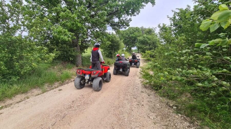 Guided quad tour with aperitif in the wood - Why This Experience Offers Real Value