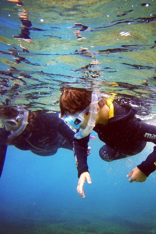 Guided Snorkelling experience in south of Gran Canaria - Introduction to the Experience