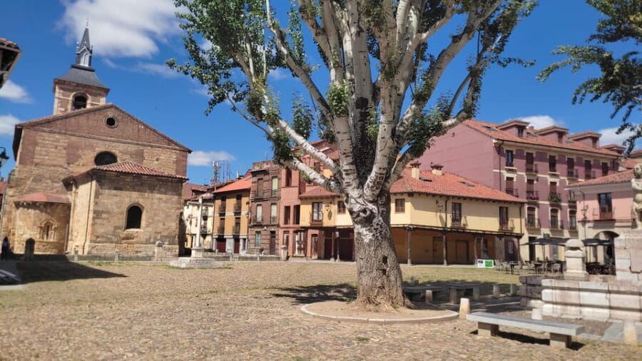 Guided tour around León - Who Will Love This Tour?