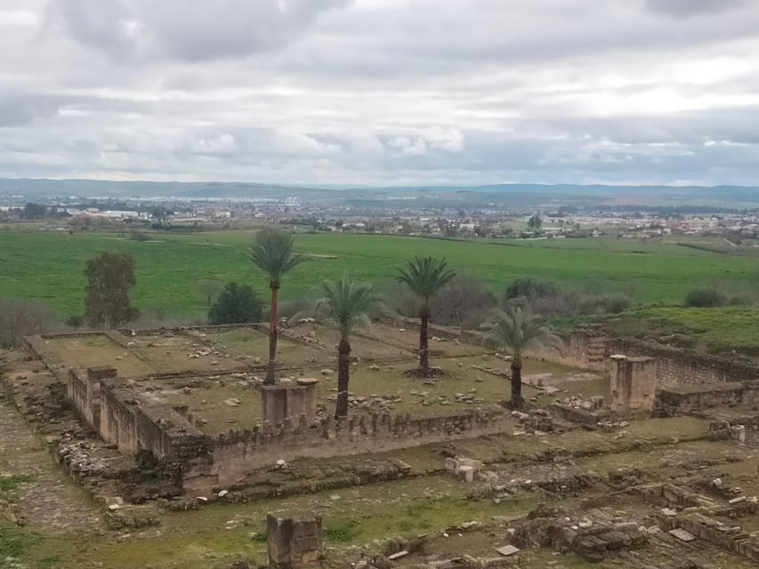 Guided tour of Medina Azahara only in french - Entering a 10th-Century City-Palace