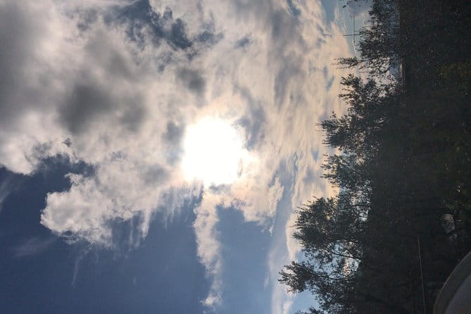 Guided tour of Pompeii and Herculaneum and winery stop - Lunch and Local Flavors