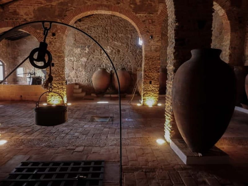 Guided tour of the Cella Vinaria Antiqua Wine Cellar Museum - Discovering the Heart of Portugal’s Winemaking Heritage