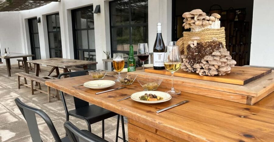 GUIDED TOUR + TASTE IN A MUSHROOM FARM - Entering the World of Menorca’s Mushrooms: What to Expect