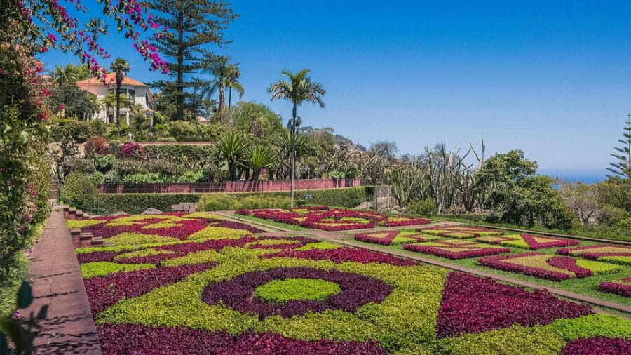 Guided Tuk-Tuk Tour to Botanical Garden (From Funchal) - Who Should Book This Tour?
