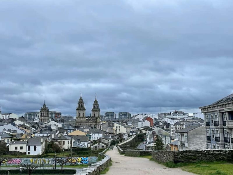 Guided visit to the Cathedral of Lugo with entrance tickets - Who Will Benefit Most from This Tour?