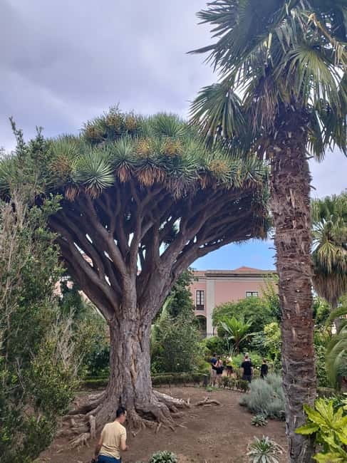 Guided walking tour in La Orotava 1:30 min, Tenerife - The Itinerary in Detail