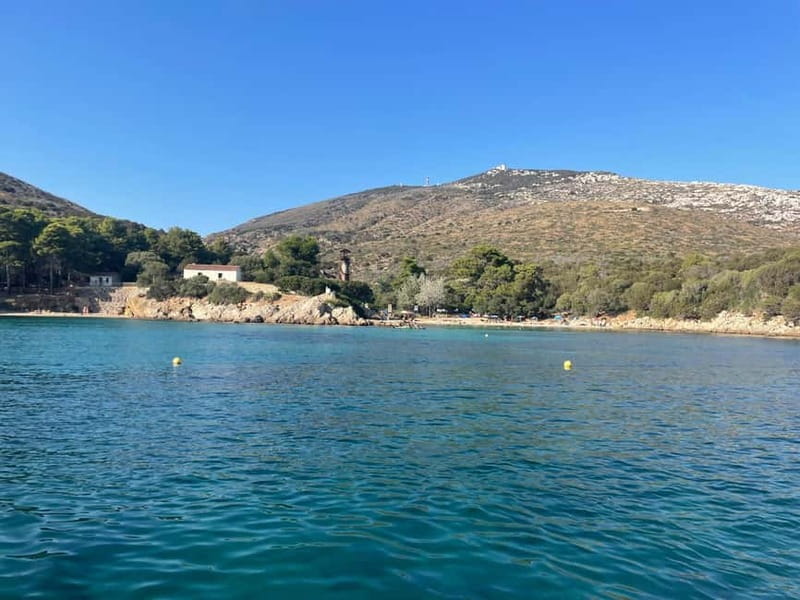 Gulf of Olbia: Dolphin watching by dinghy - Who Should Book This Experience?