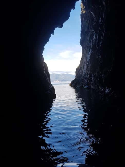 Gulf of Porto: Visit the Calanques de Piana and the Scandola Nature Reserve - Pricing and Value: What You Get for Your Money