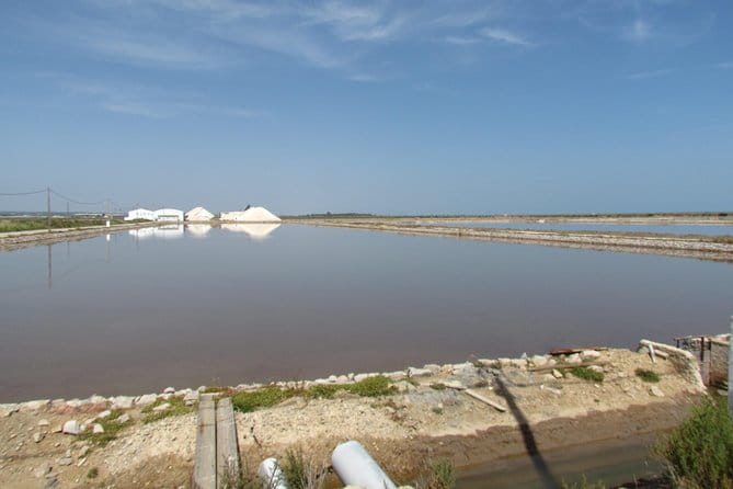 Half-day birdwatching around Tavira - FAQ