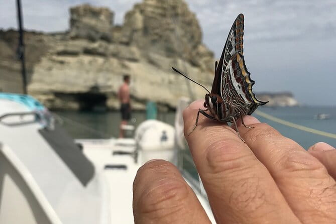 Half day Catamaran Morning Cruise in Kleftiko - Who Should Consider This Experience?
