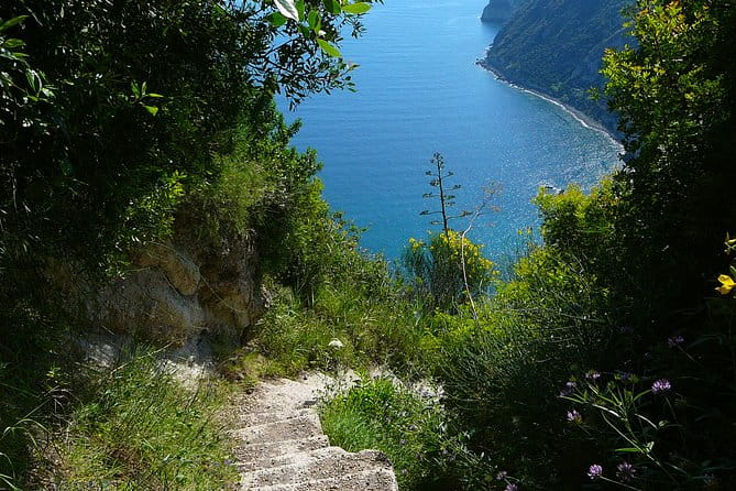 Half-day east coast hike in Ischia island with pick-up - Final Thoughts: Ischia’s East Coast by Foot