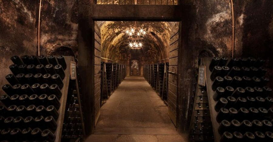 Half-Day Food and Wine Experience in Franciacorta - The Cost and Value