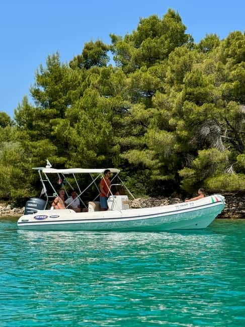 half day group speedboat tour of the islands around Zadar - What to Expect From the Experience