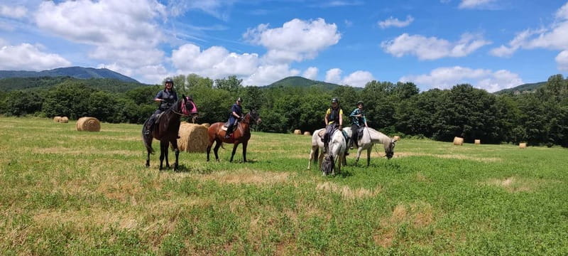 Half-day horseback riding day trip in Tuscany for beginners - Exploring Tuscany on Horseback: What the Experience Is Really Like