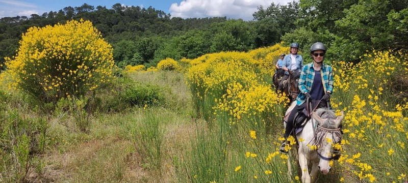 Half-day horseback riding day trip in Tuscany - A Deep Dive Into the Experience