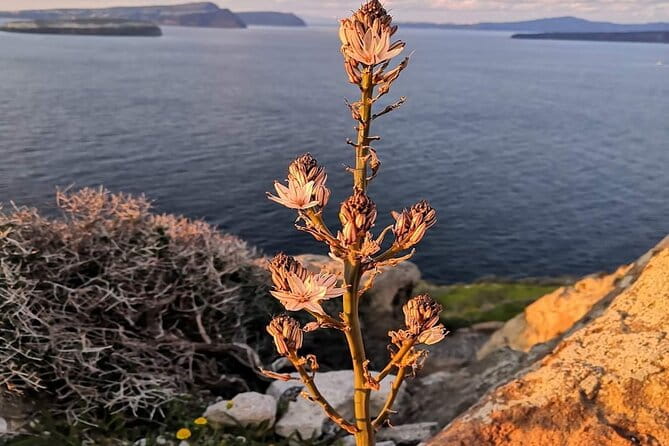 Half-Day Inland Fishing Tourism Sunset Tour with Dinner - Final Thoughts: An Authentic Touch of Santorini