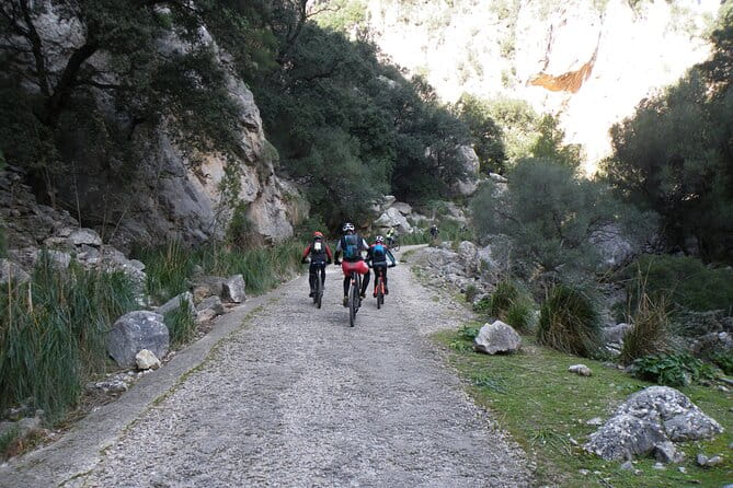 Half-Day Mountain Bike Experience to Serra de Tramuntana, - Ending in Santa Maria & Returning to Palma