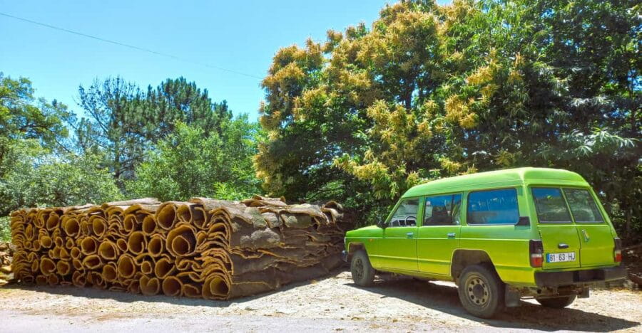 Half-Day Mountain Jeep Safari with firewater tasting - The Itinerary in Detail: What You’ll See and Do