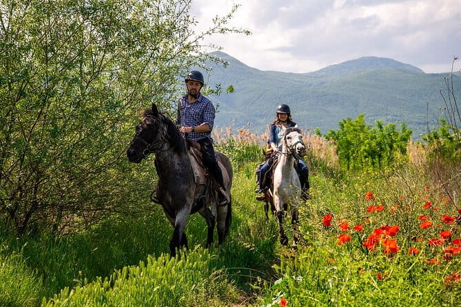 Half-Day of Horseback Adventure with Wine Tasting - Price and Value Analysis