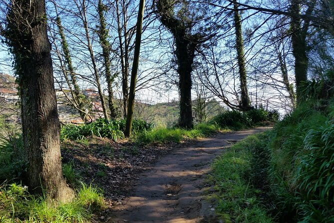 Half-Day Paradise Valley Walking Tour - Who Will Love This Tour?