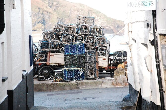 Half-Day Private Doc Martin and Fisherman's Friends Tour - Who Should Consider This Tour?