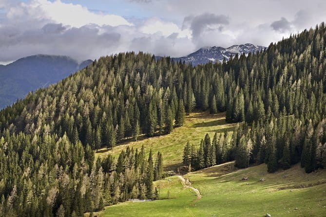 Half-Day Small-Group Hiking Tour of Vievnik - Who Should Consider This Tour?