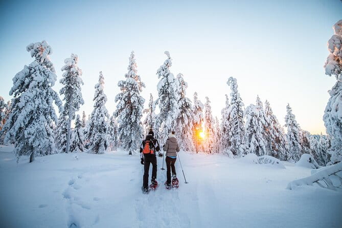 Half Day Snowshoe Hiking Adventure in Levi Lapland - The Art of Snowshoeing in Deep Snow