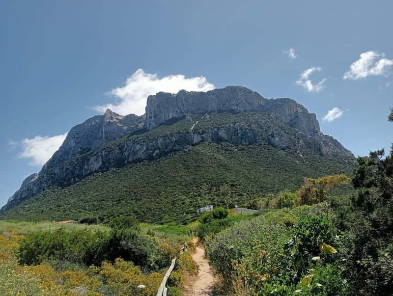 Half-day tour by dinghy in the Tavolara Marine Protected Area - Who This Tour Is Best For