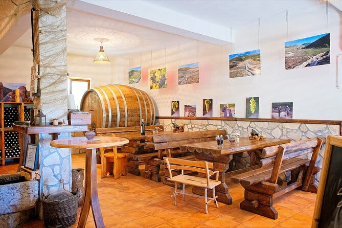 Half Day Tour - Deep and Dark Red Wine of Peljeac - The Sum Up: Is It Worth It?