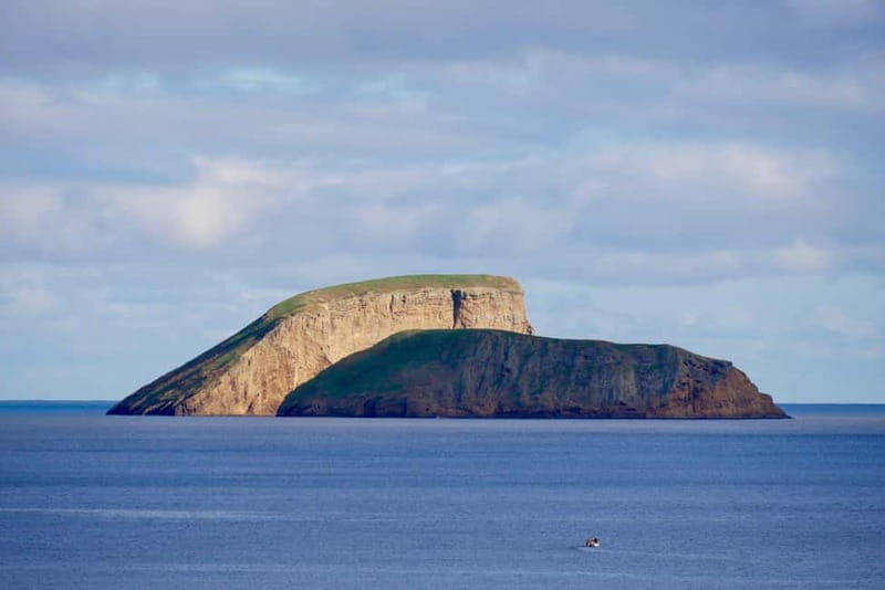 Half-day tour: Sierra del Cume and East Coast - Exploring the Details of the Tour Experience