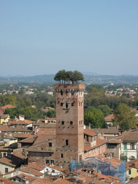 Half-Day Tour to Lucca From Florence - Visiting Giacomo Puccini’s Birthplace