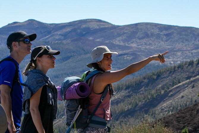 Half-Day Volcanic Experience in Teide, Tenerife - Unpacking the Experience: What to Expect in Detail
