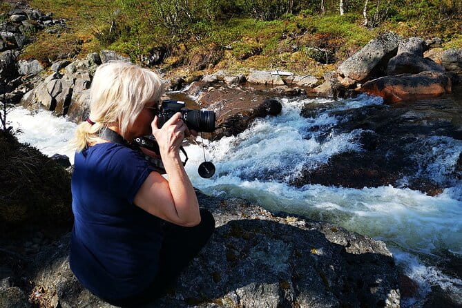 Half day Wildlife and Nature Photography - Who Will Love This Tour?
