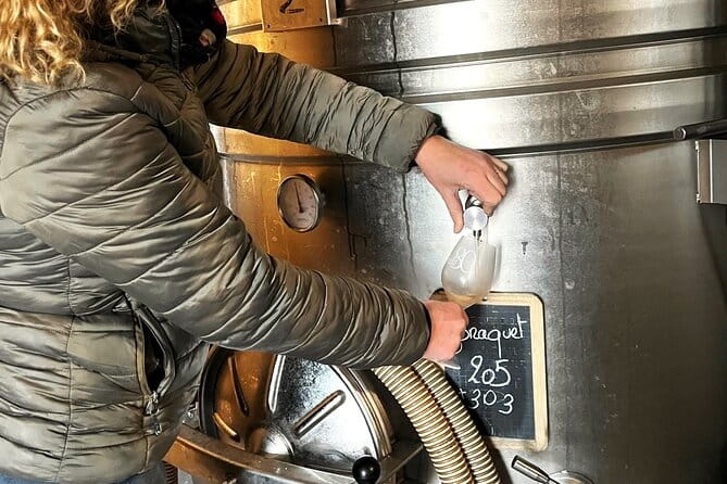 Half day Wine Tour in Côteaux Aix from Aix en Provence - Who This Tour Is Perfect For