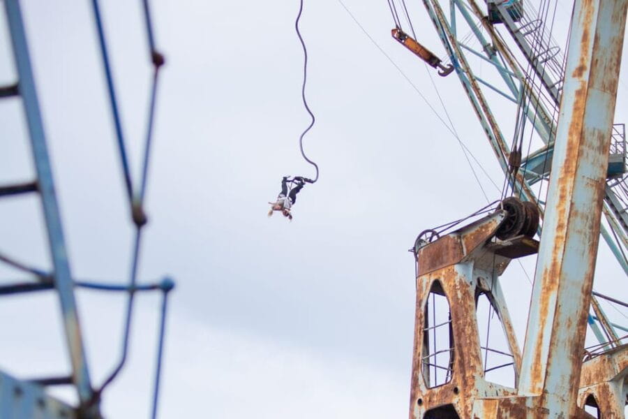 Hamburg: Bungee Jumping 50 Meters High over the Harbor - Who Will Love This Experience?