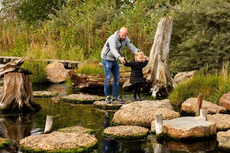 Harderwijk: Dolfinarium Entry Ticket - What You’ll See and Do at Dolfinarium